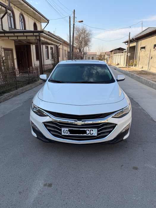 2019 turbo korea primer qlingan