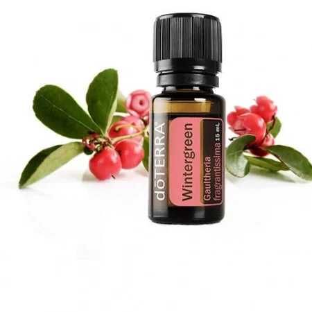 Wintergreen doTerra 15mL