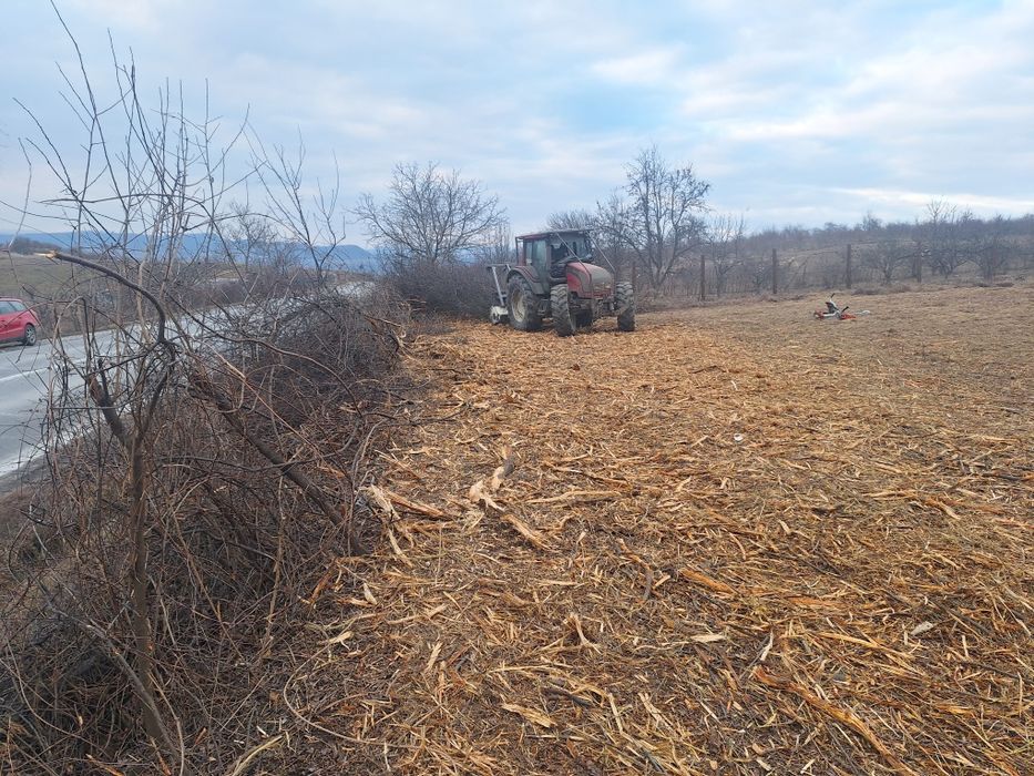 Curatam/Defrisam pasuni