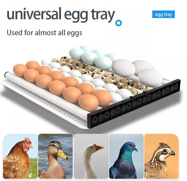 48 tuxumga moljallangan aqlli inkubator - ИНКУБАТОР