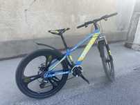 Felosiped Dkalnn