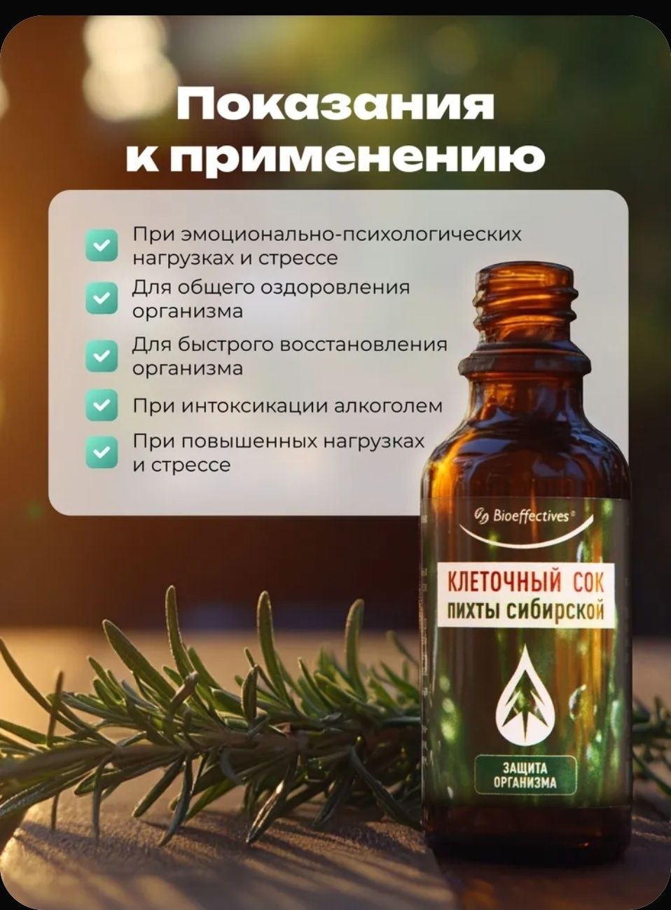Клеточный сок Пихты Сибирьской