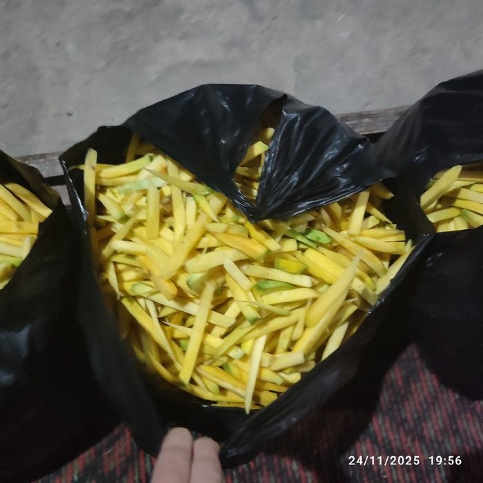 Chiqarilgan sifatli sabzi