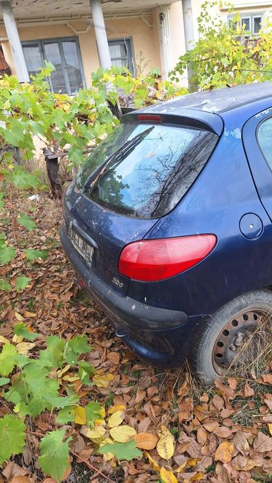 Peugeot 206 An 2001
