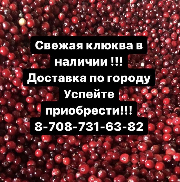 Свежая клюква в наличии , бесплатная доставка по городу