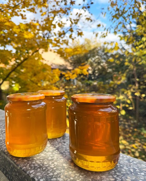 Miere de salcâm naturală