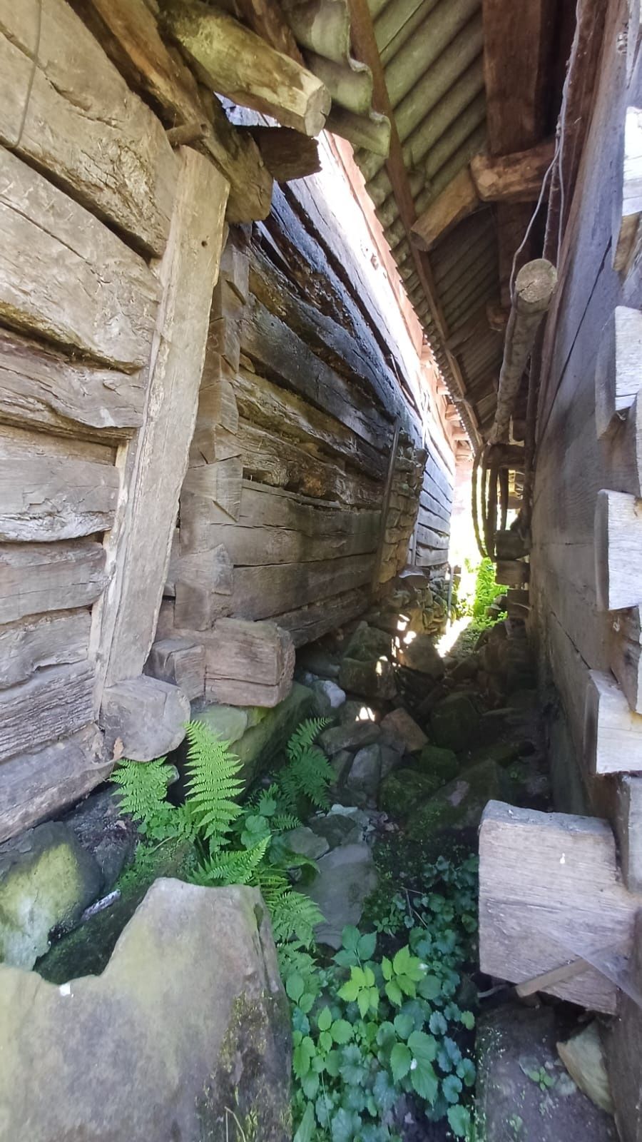 Casa de lemn din Maramures, pentru relocare