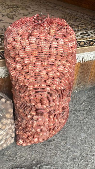 Грецкие орехи домашние