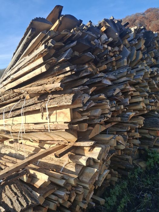 Laturoaie uscate de fag.