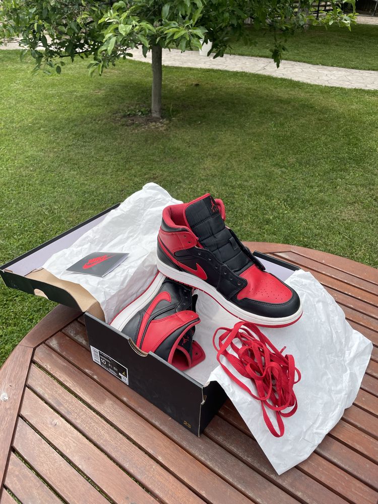 Adidasi Nike: Air Jordan 1   si    Nike Dunk