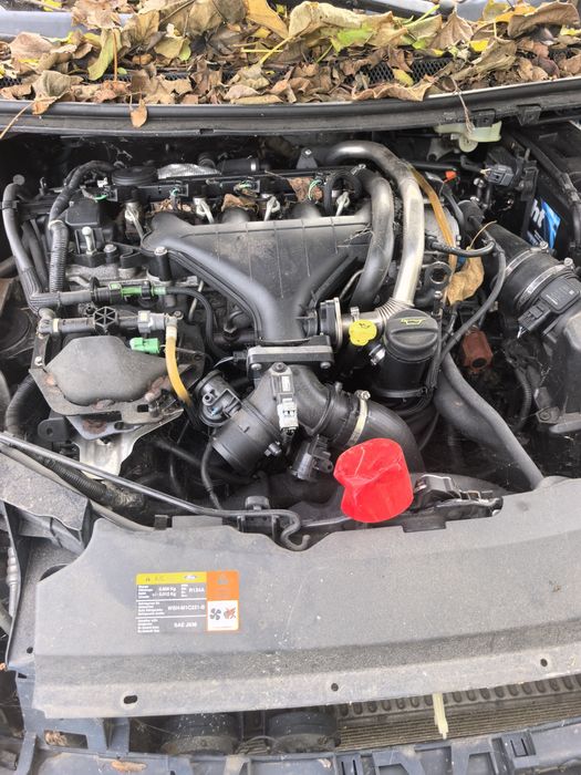 Vând ford focus 2 și Peugeot 407 pentru dezmembrari