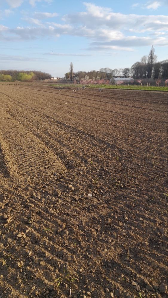 Teren intravilan de vanzare in Campia Turzii