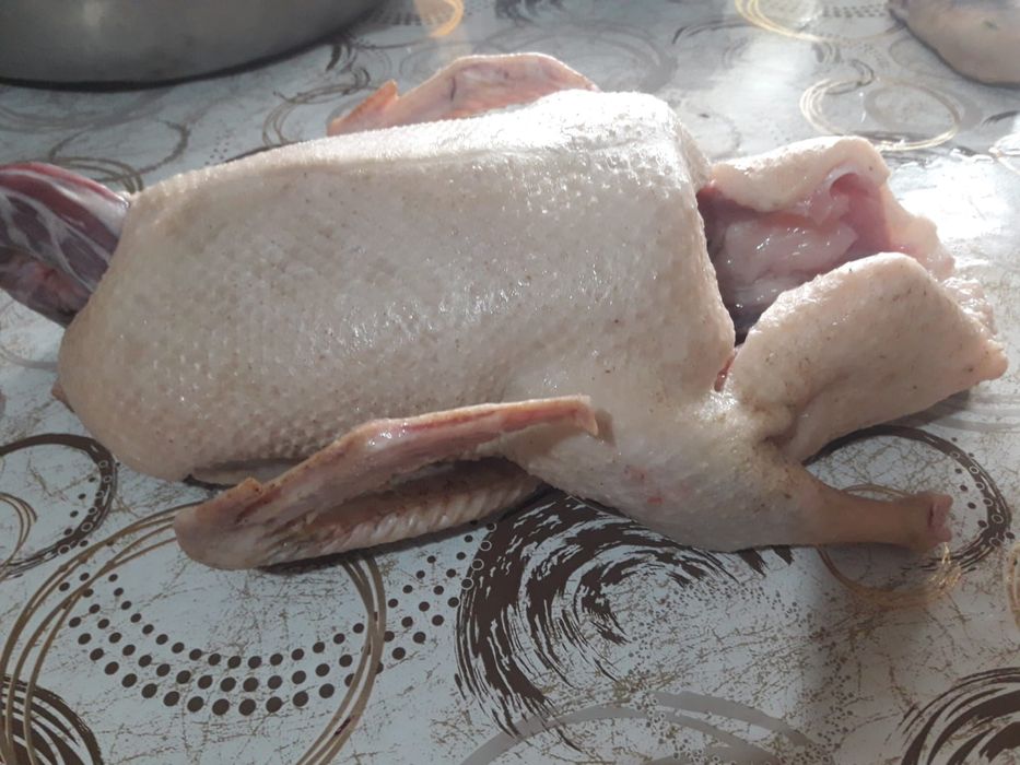 Продам утку 3500 кг .