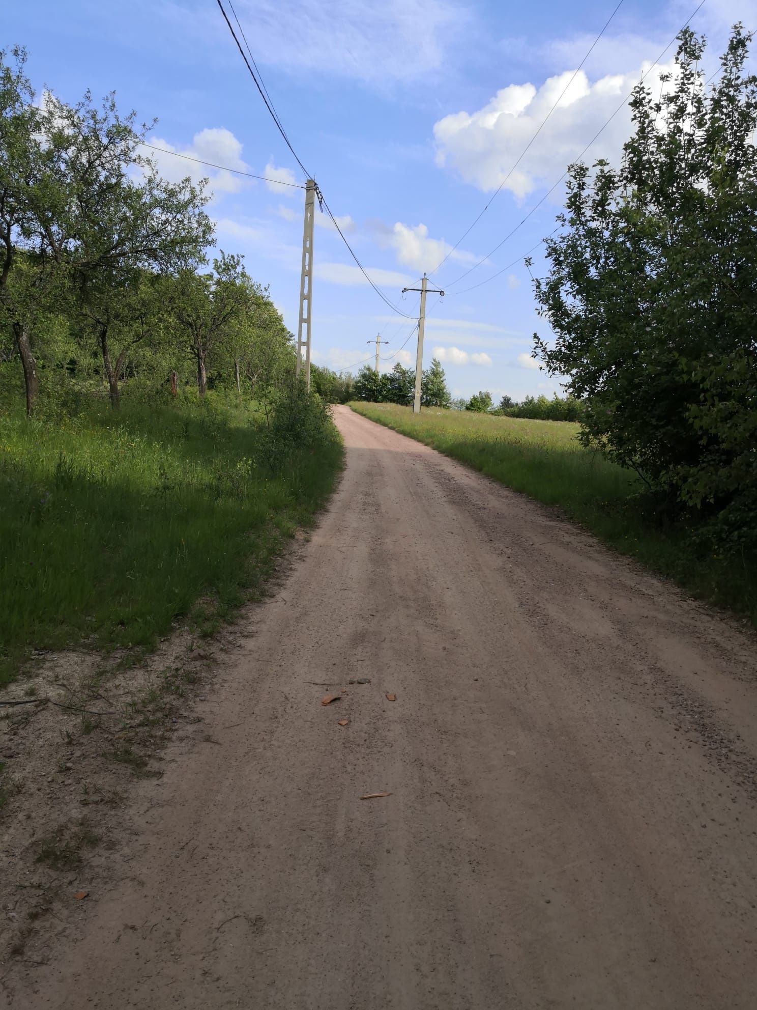 Teren 2,5 ha Negreni, Cluj – pădure, și curent
