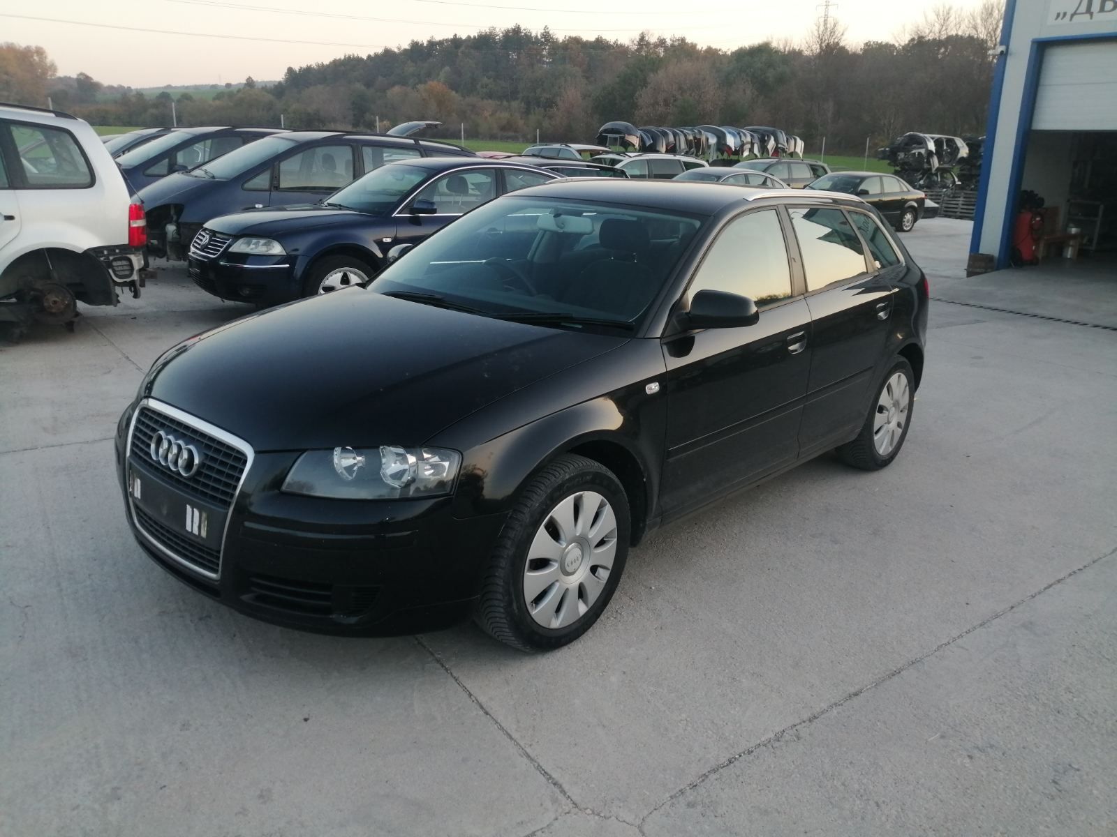 Audi a3 1.9 tdi 105 коня на части