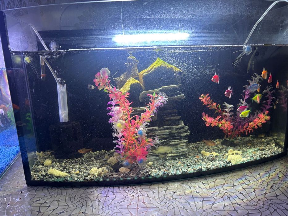 Продам аквариум с рыбками в хорошем состоянии