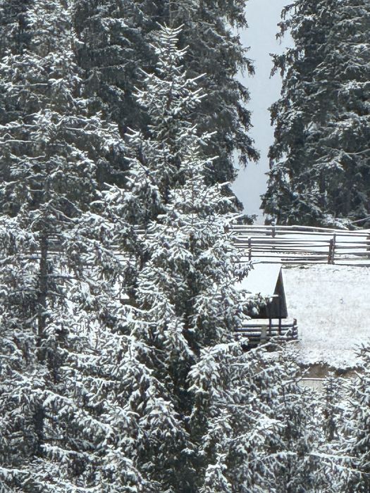 Casa de vacanta la munte