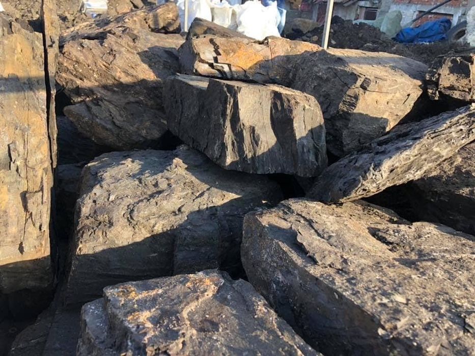 Carbuni Lignit //599  lei tona//