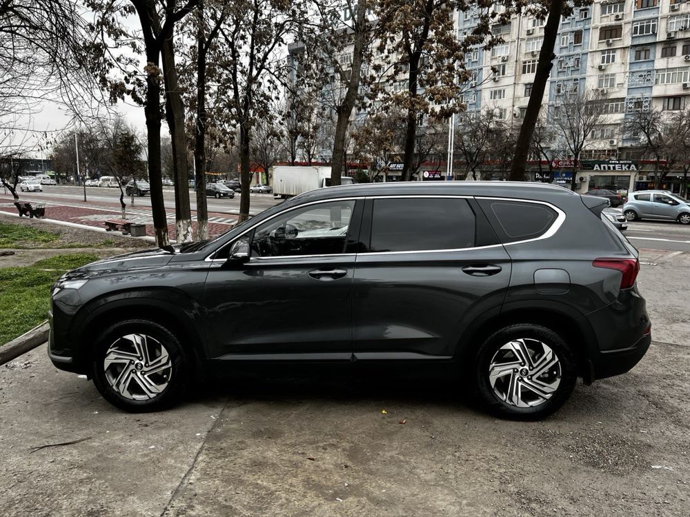 Hyundai Santa Fe 2022 (декабрь)