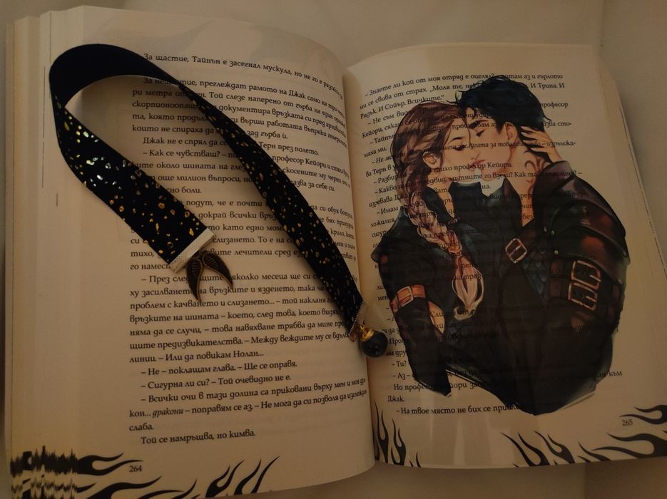 Книжен комплект книгоразделител и overlay / леър