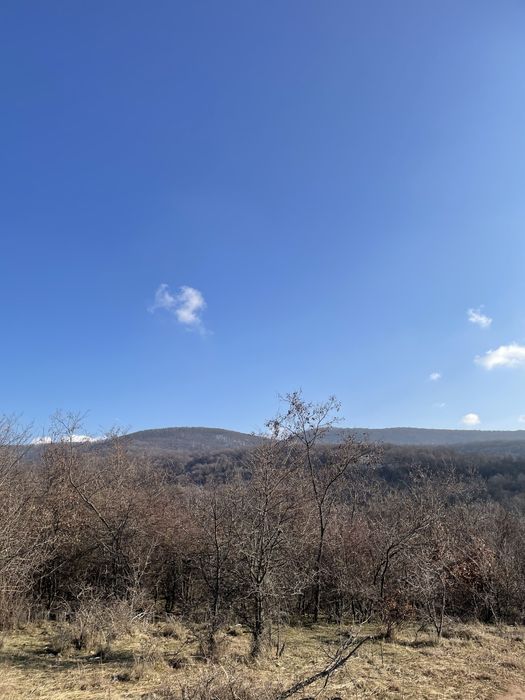 Teren 3 Ha  Șiria Arad  1€ mp