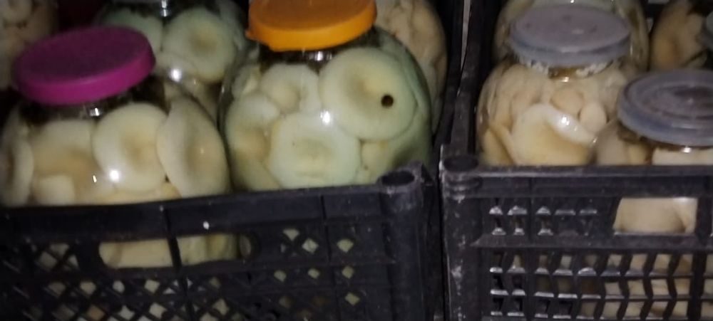 Продам грибы грузди соленые