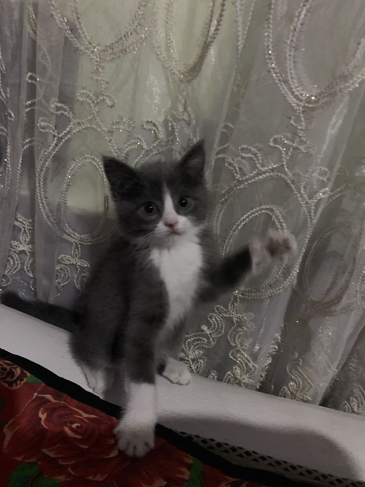 Элони яхшилаб окинг !