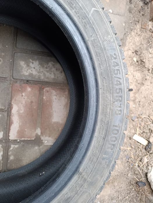 Зимние шины Triangle