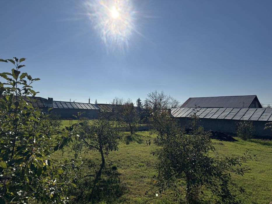 Teren intravilan 1000 mp – Strada Dispensarului, Liești