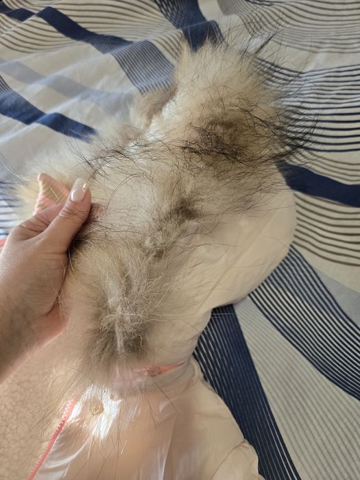 Парка alessa 104