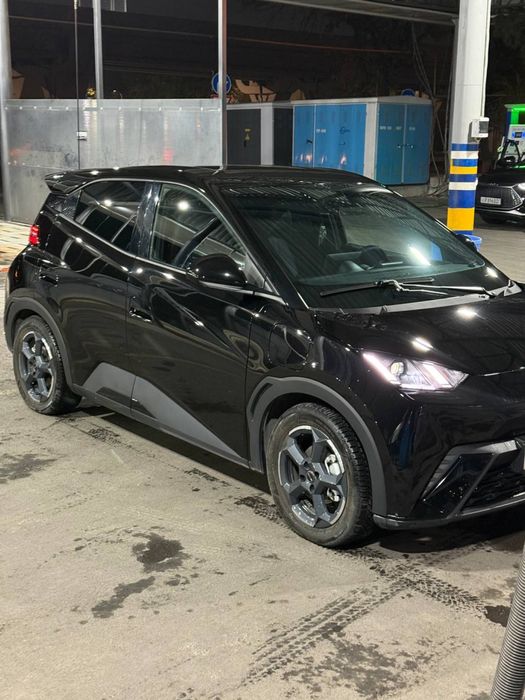 BYD seagull 405km full