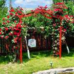 Pergola din lemn, 246 x 98 x 235 cm