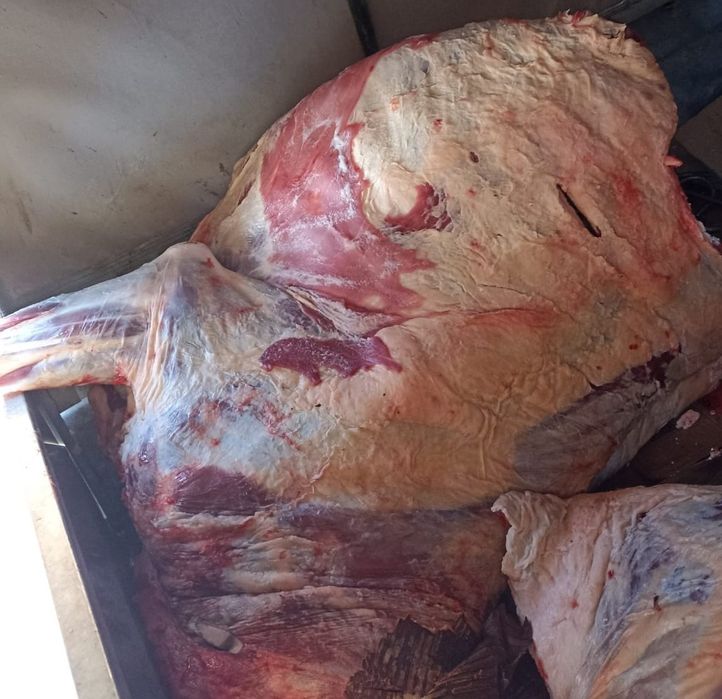 Продам недорого согым 3200