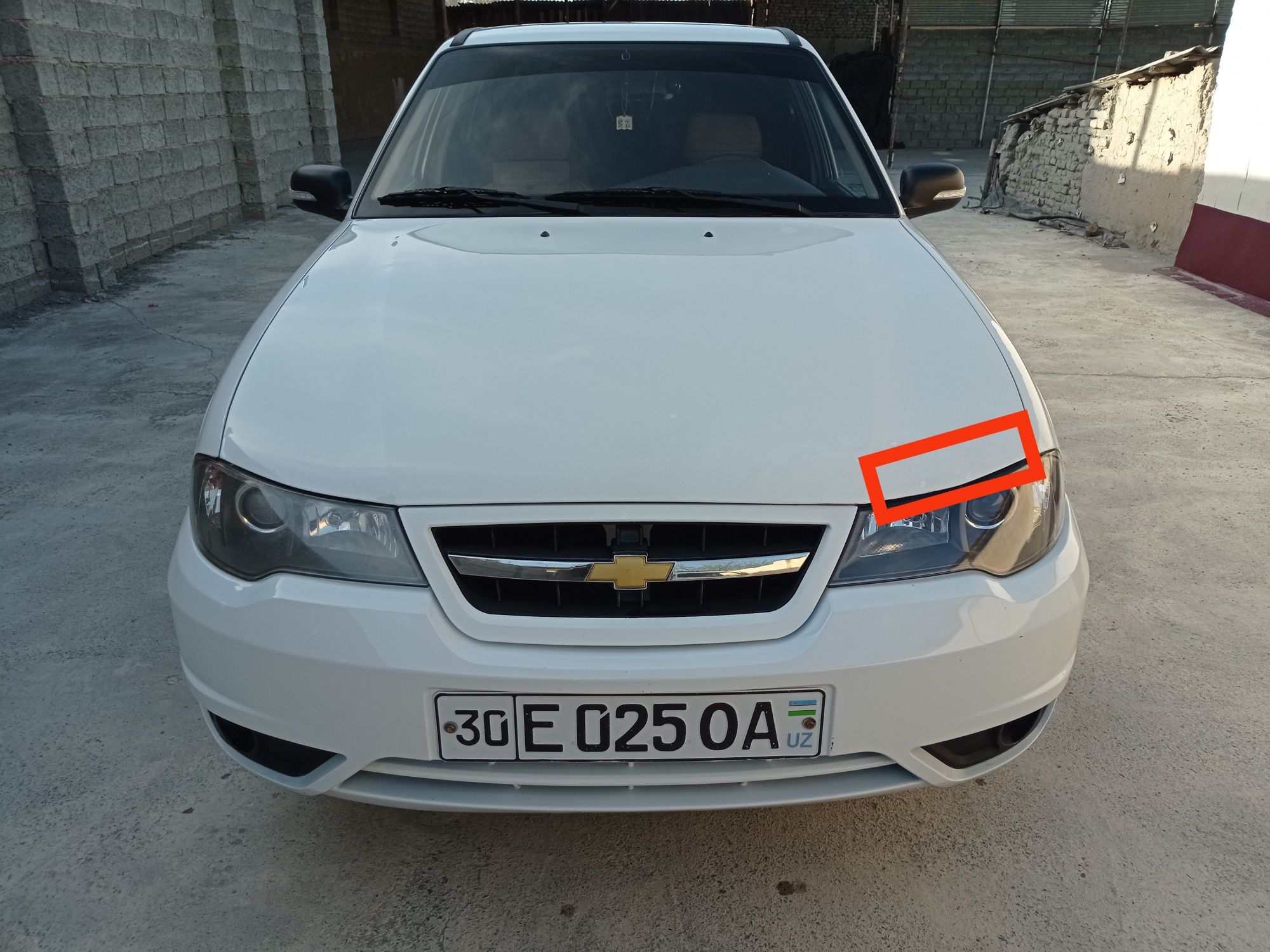 Nexia 2 sons Гибрид