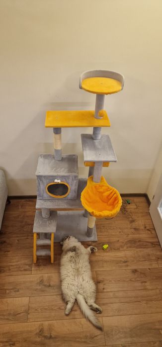 Катерушка за котки