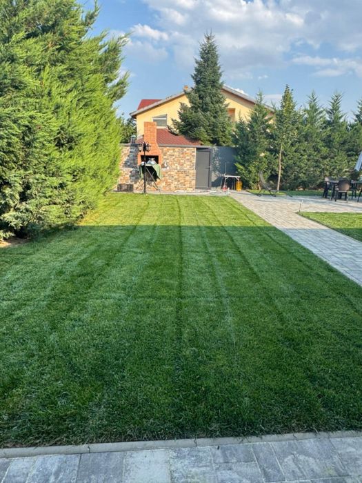 Gazon Rulou și Sistem de irigare și plante Decorative