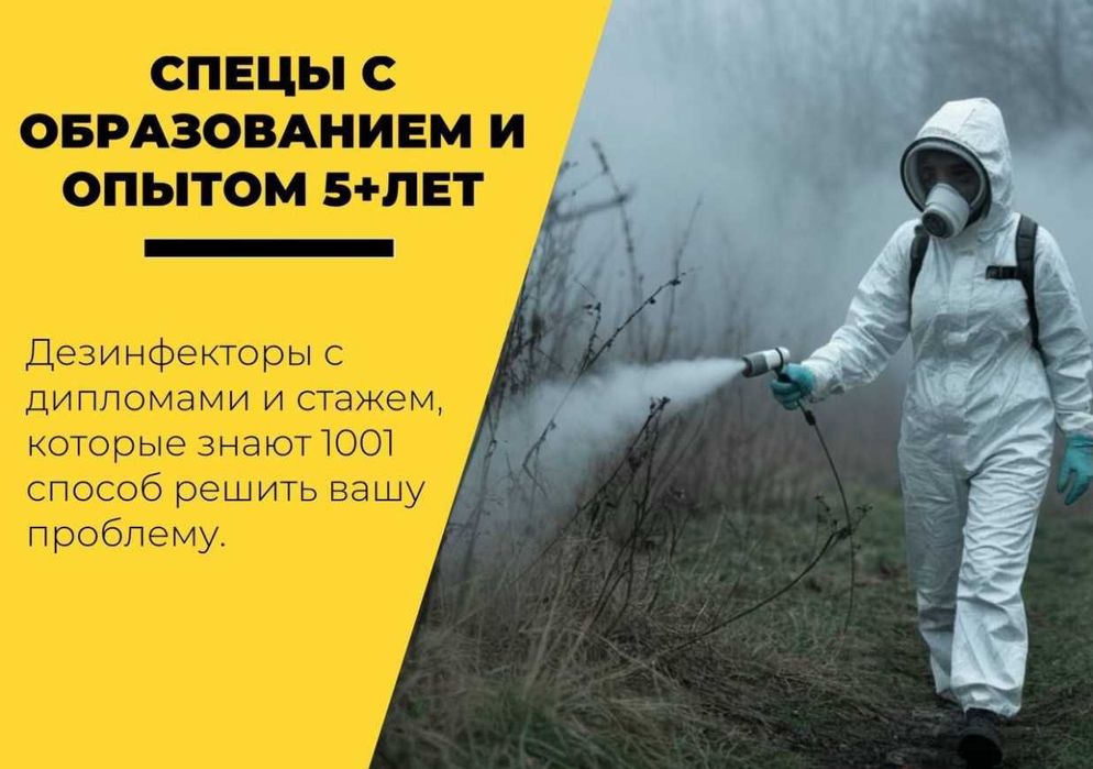 Dezinfeksiya: уничтожение насекомых, грызунов, змей и запахов
