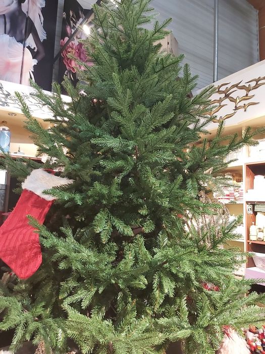 Brad de lux  din pvc