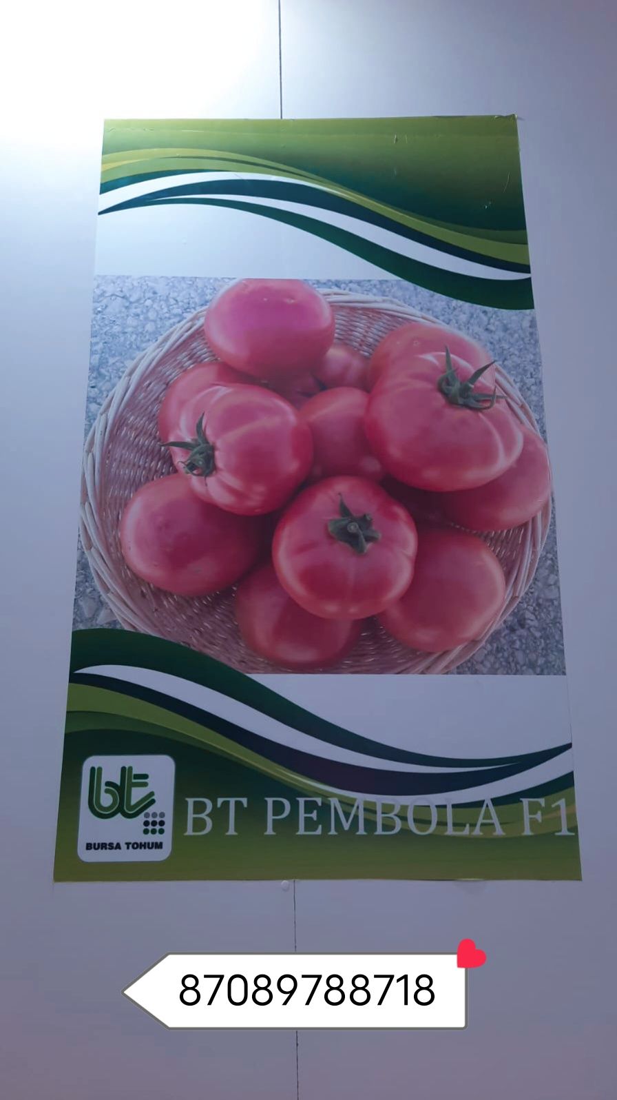 Продаем семена розового  томатов