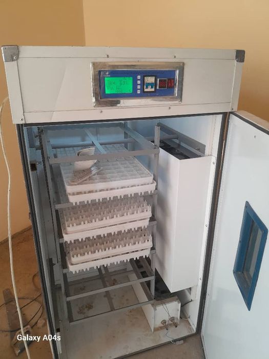 Inkubator apparati sotiladi