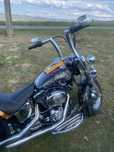 Harley Davidson SOFTAIL