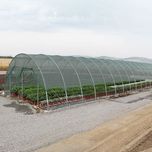 PLASA 35%UMBRIRE/Protectie 5x50m=417lei;6x50m=500lei,8x50m=735lei;UV