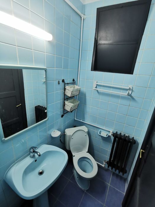 Dristor 3 Camere Renovat La Curte