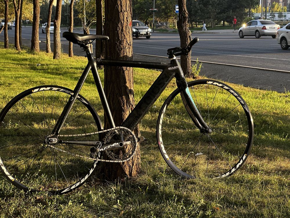 Colossi low pro.