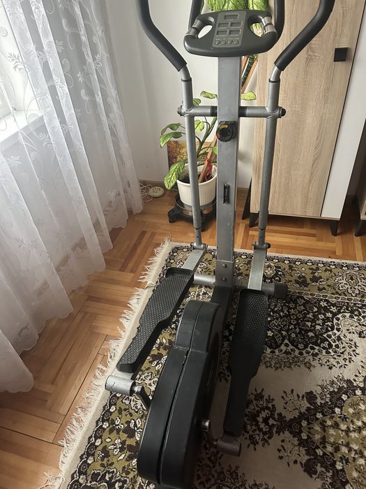 Bucicleta eliptica Buffalo