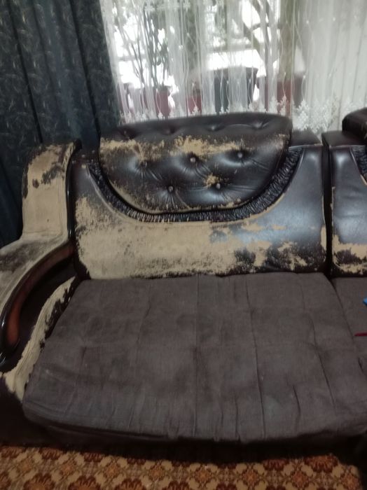 1 oy garantiyasi bor