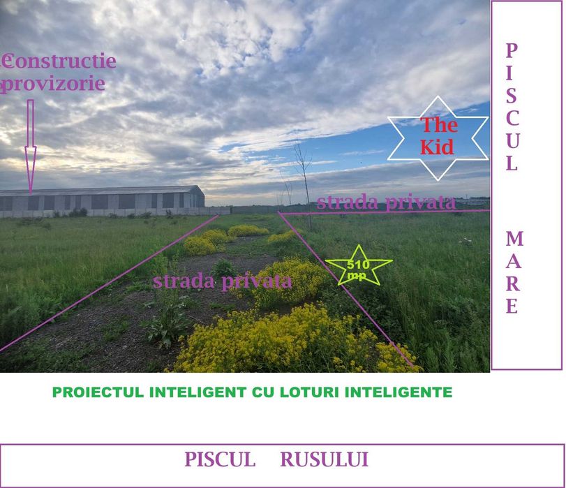 Terenin Cartierul Padurea Baneasa, Piscul Mare-Rusului-Berivoiul Mare