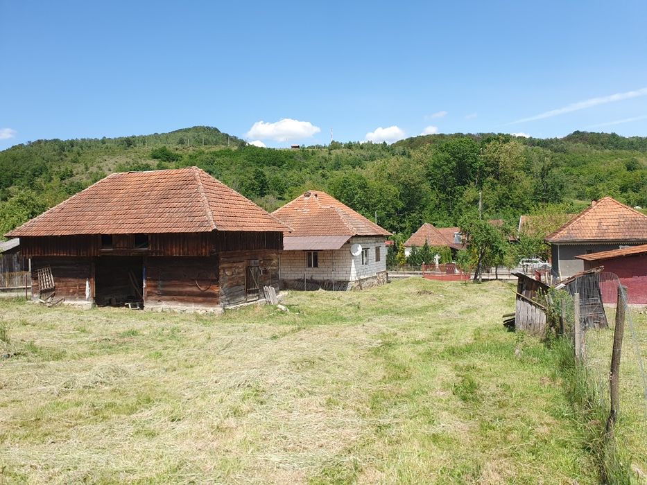 Vând casă cu grădină