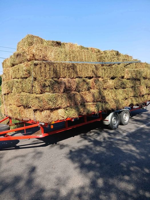 Baloti de lucerna 20 lei bucata