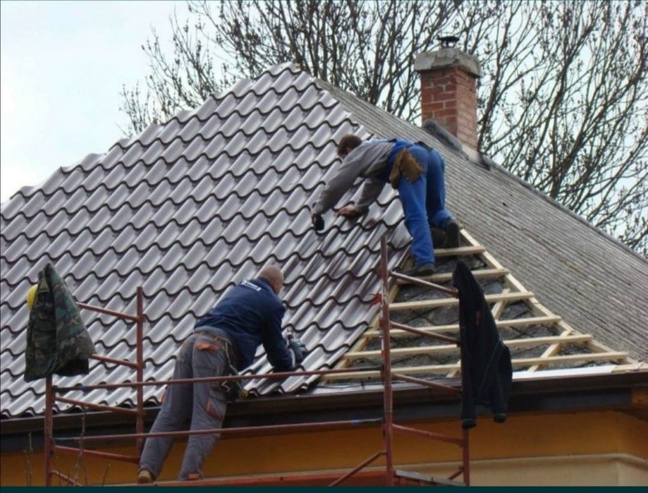 Acoperisuri și sisteme pluviale